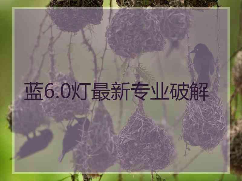蓝6.0灯最新专业破解