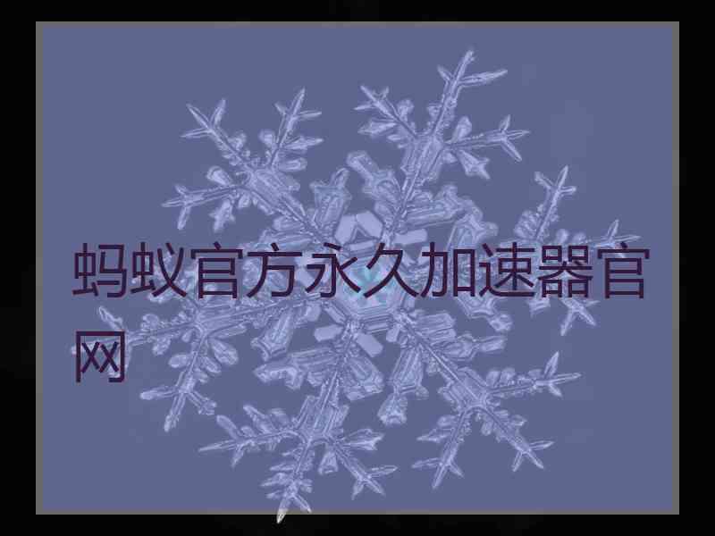 蚂蚁官方永久加速器官网