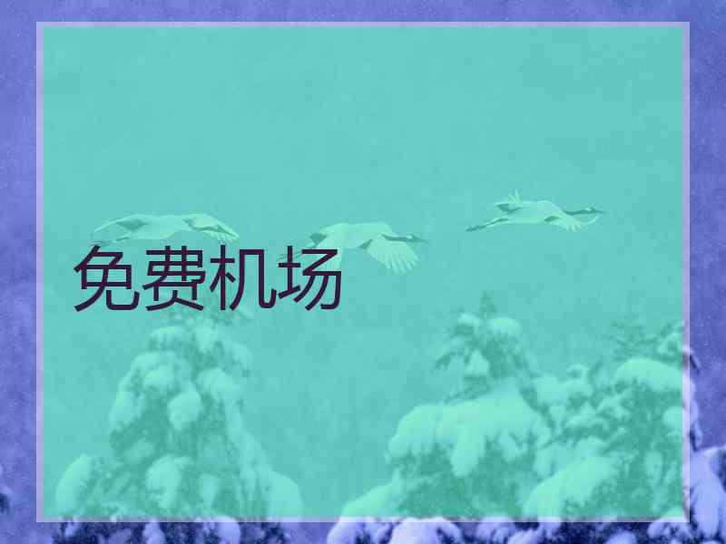 免费机场