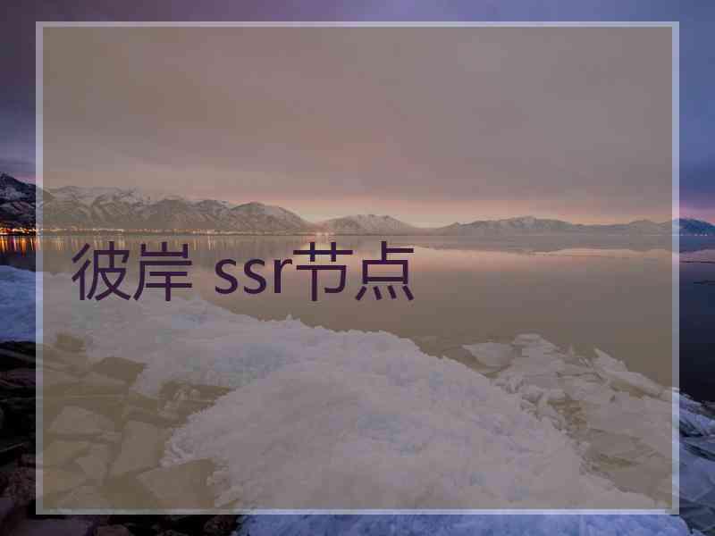彼岸 ssr节点