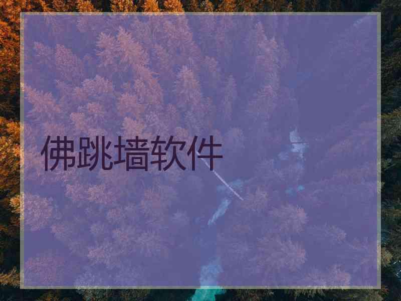 佛跳墙软件