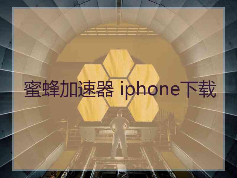 蜜蜂加速器 iphone下载
