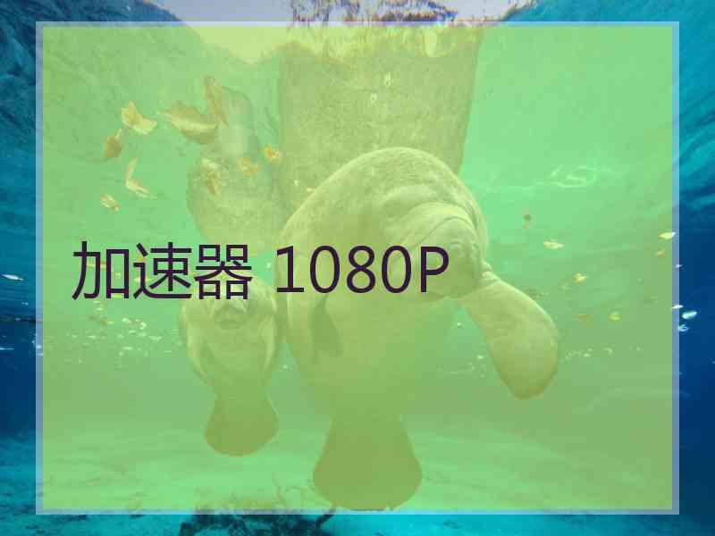 加速器 1080P
