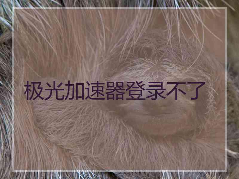 极光加速器登录不了