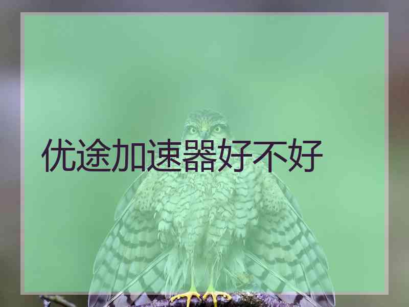 优途加速器好不好