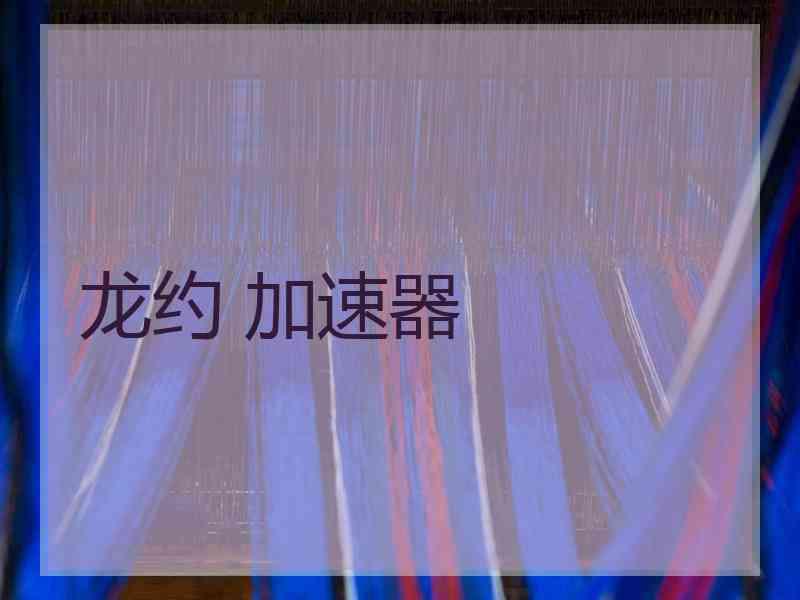 龙约 加速器