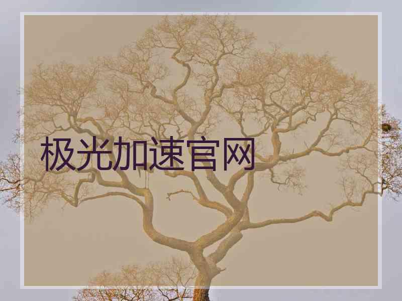 极光加速官网