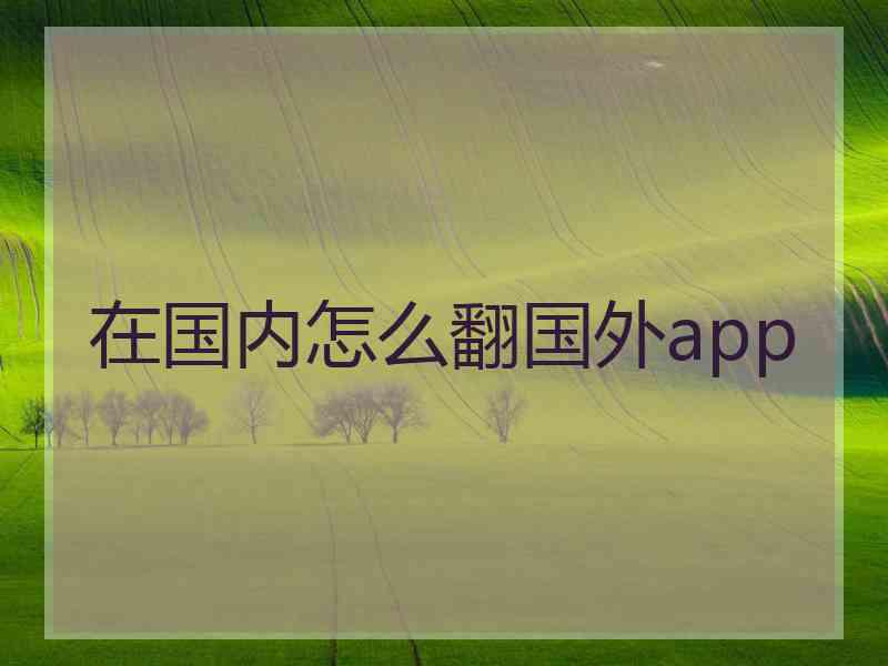 在国内怎么翻国外app