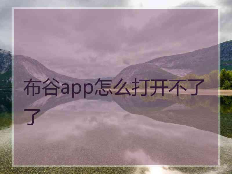 布谷app怎么打开不了了