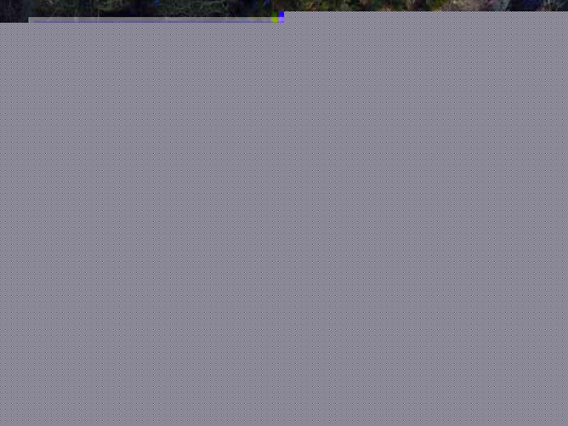 在国内怎么上instagram