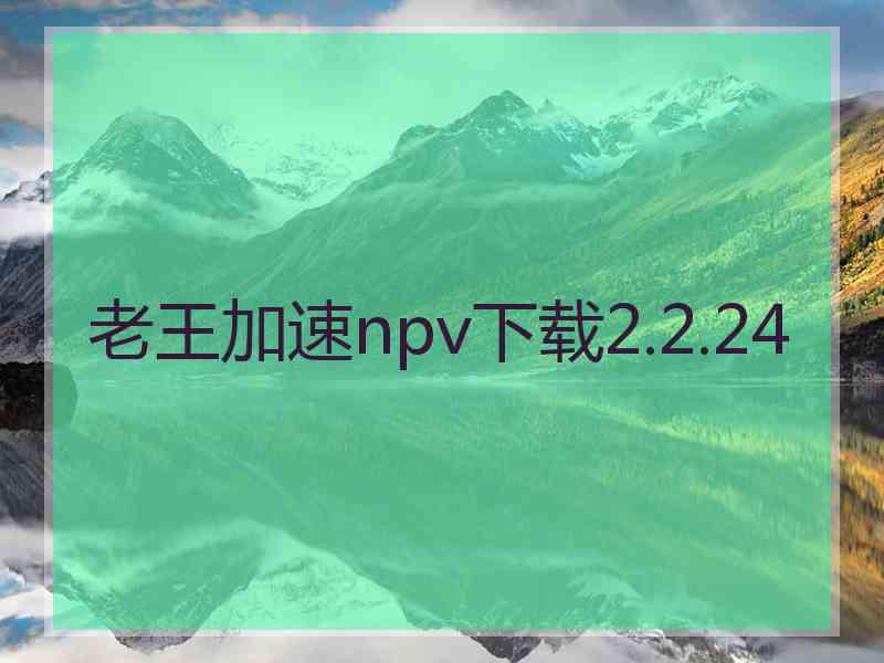 老王加速npv下载2.2.24