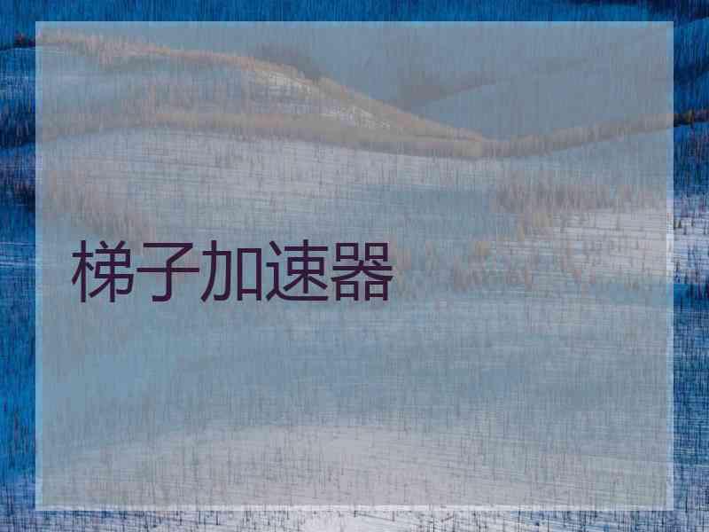 梯子加速器