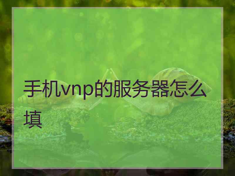 手机vnp的服务器怎么填