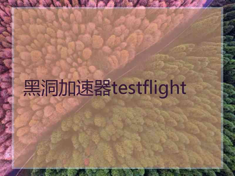 黑洞加速器testflight