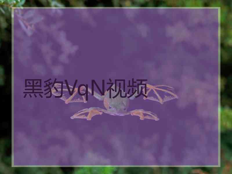 黑豹VqN视频