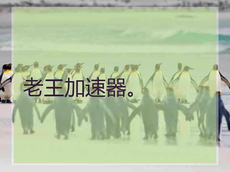 老王加速器。