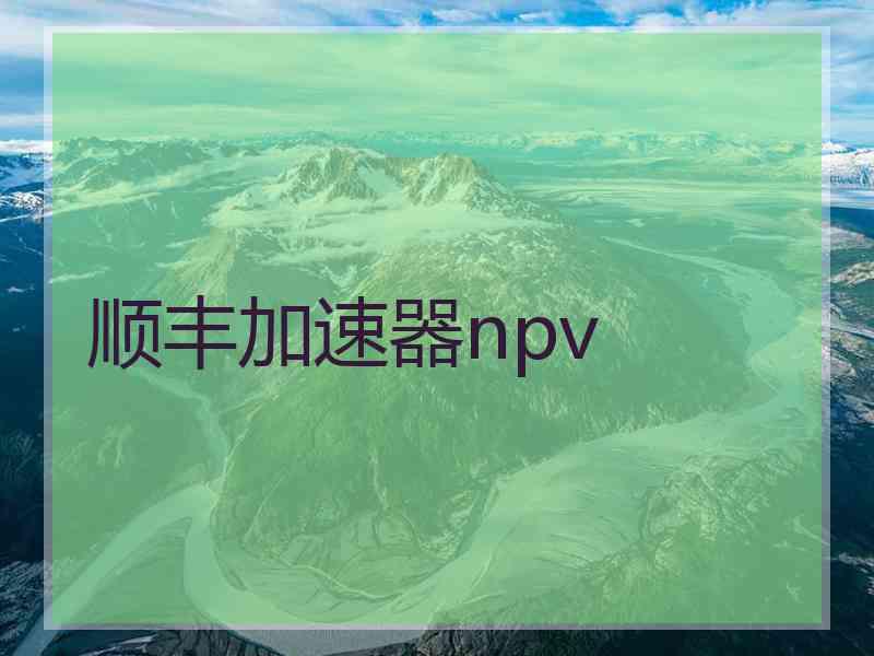 顺丰加速器npv