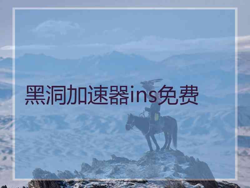 黑洞加速器ins免费