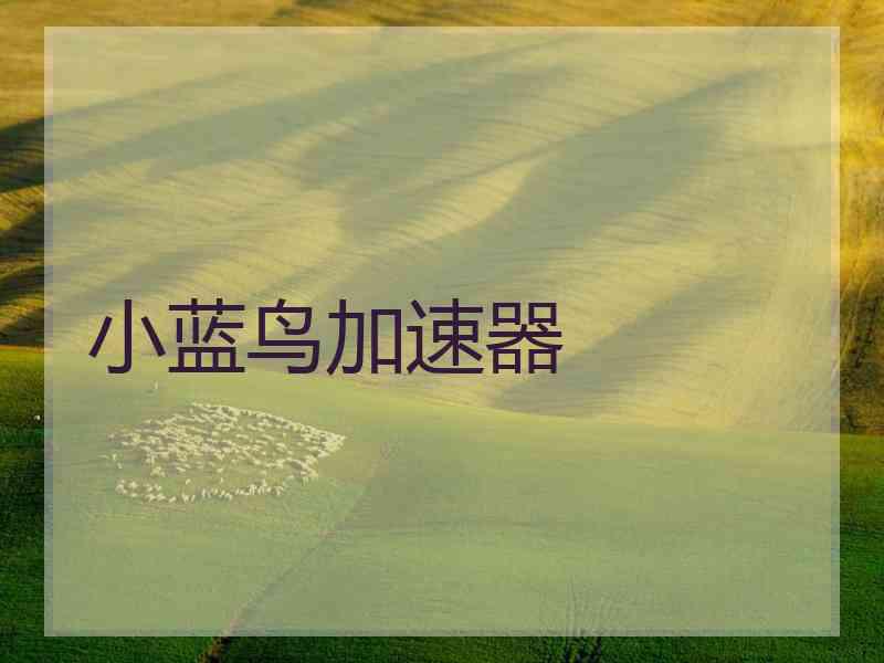 小蓝鸟加速器