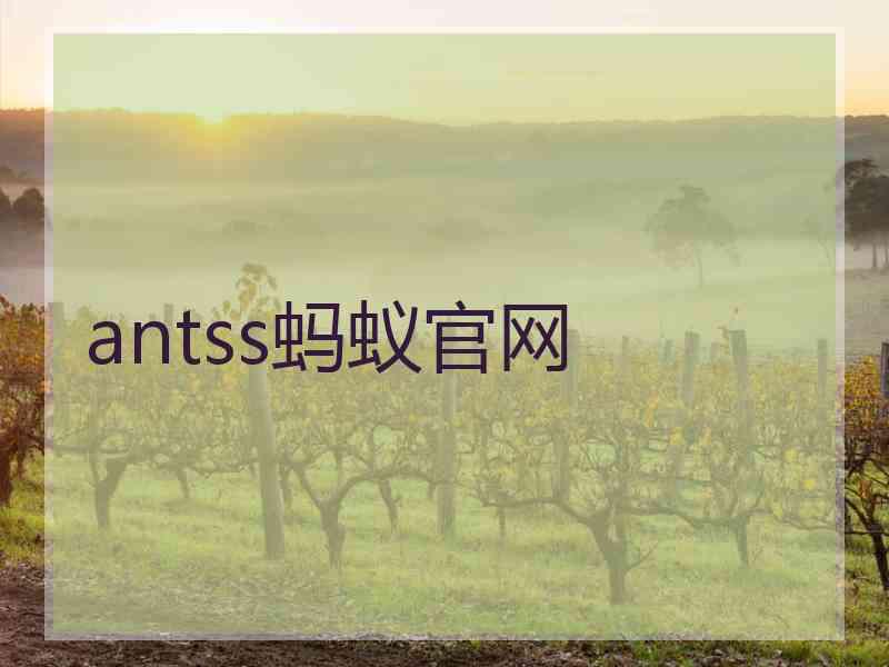 antss蚂蚁官网