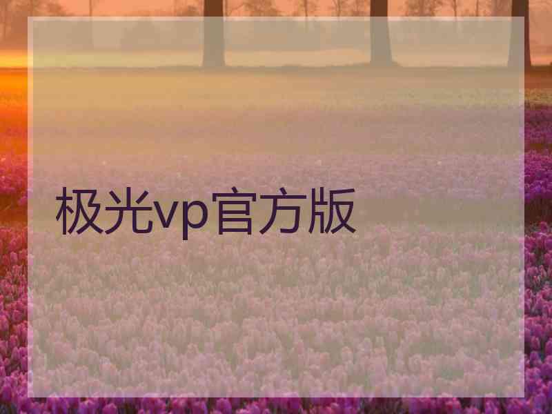 极光vp官方版