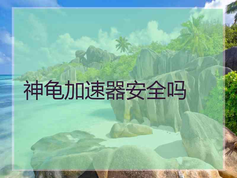 神龟加速器安全吗