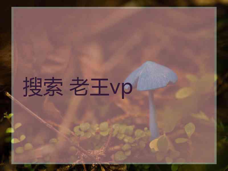 搜索 老王vp