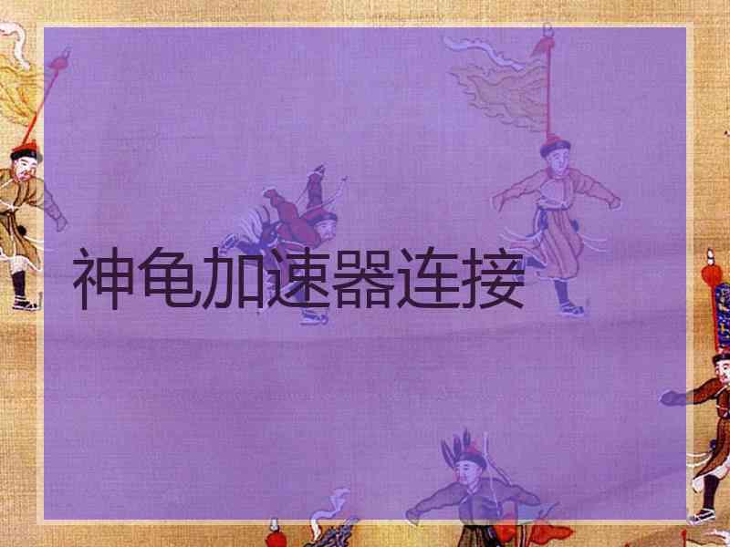 神龟加速器连接