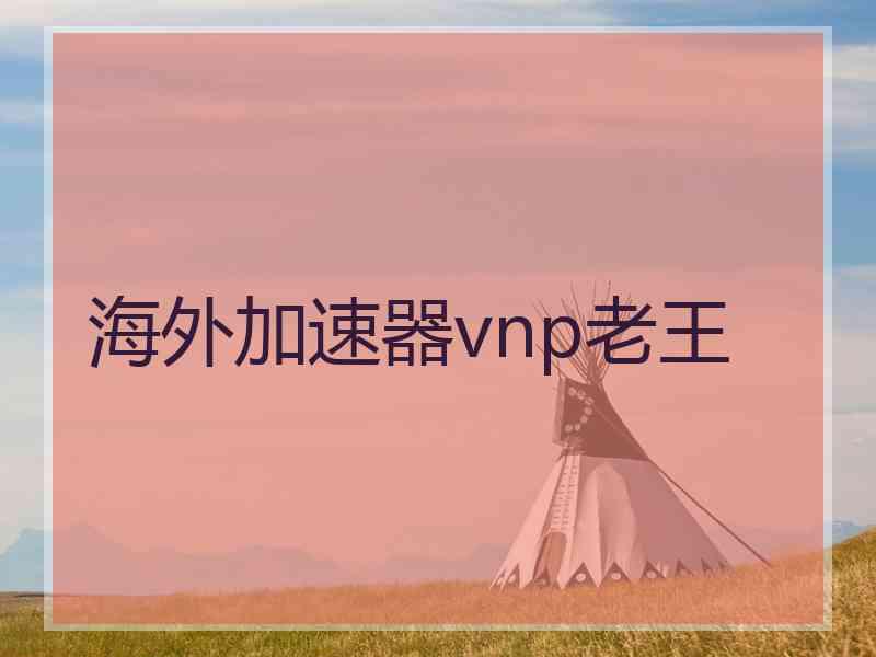 海外加速器vnp老王