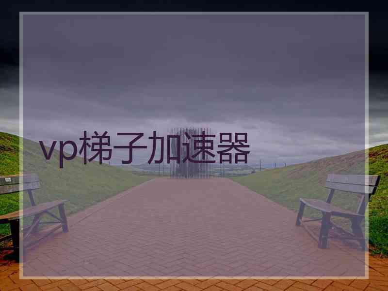 vp梯子加速器