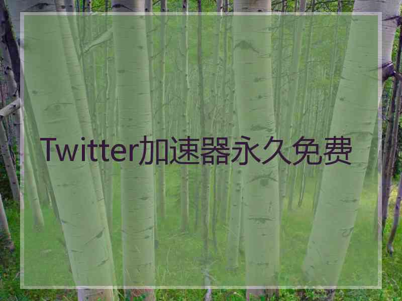 Twitter加速器永久免费