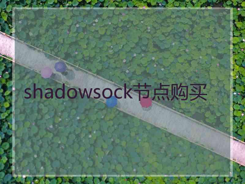 shadowsock节点购买