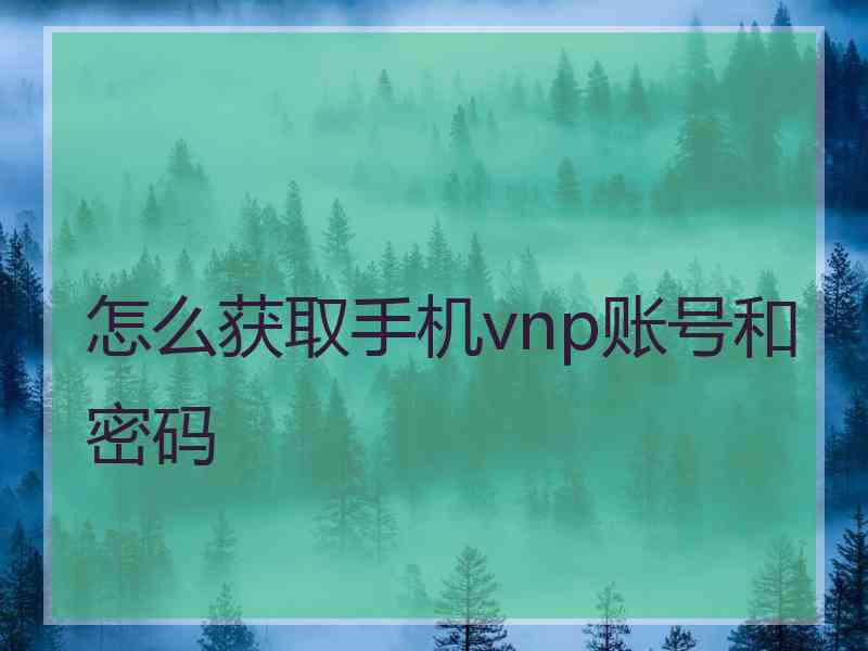 怎么获取手机vnp账号和密码