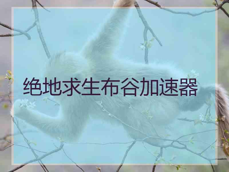 绝地求生布谷加速器