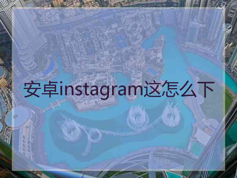 安卓instagram这怎么下