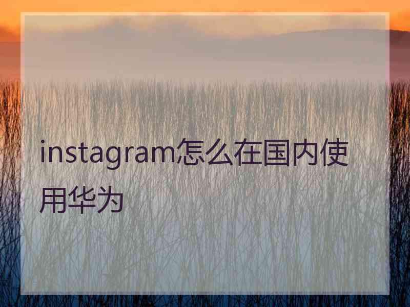 instagram怎么在国内使用华为