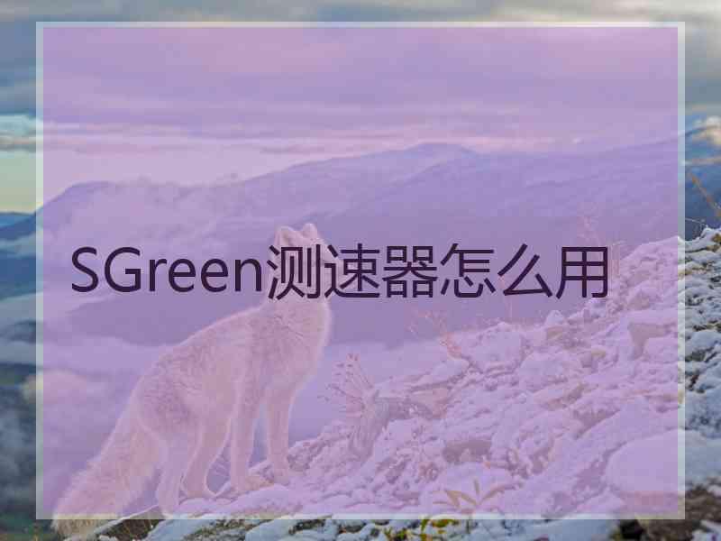 SGreen测速器怎么用