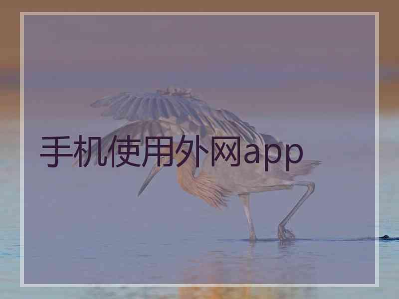 手机使用外网app