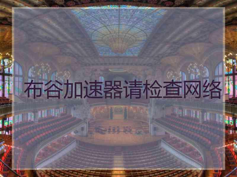 布谷加速器请检查网络