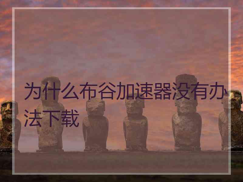为什么布谷加速器没有办法下载