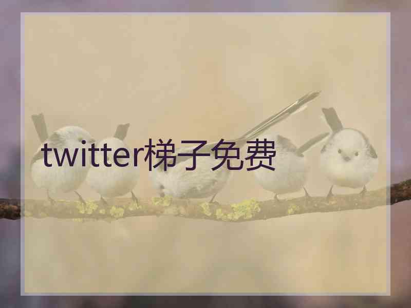 twitter梯子免费