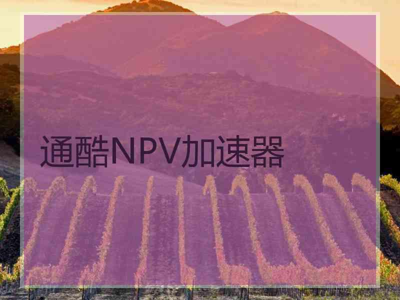 通酷NPV加速器