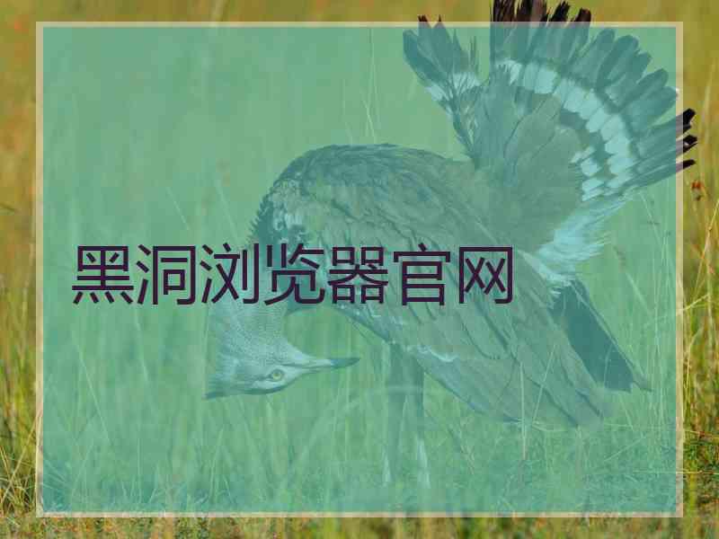 黑洞浏览器官网