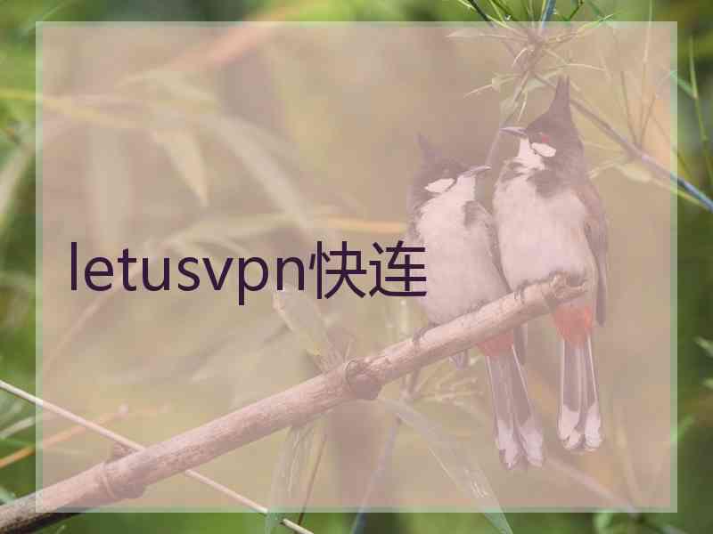 letusvpn快连