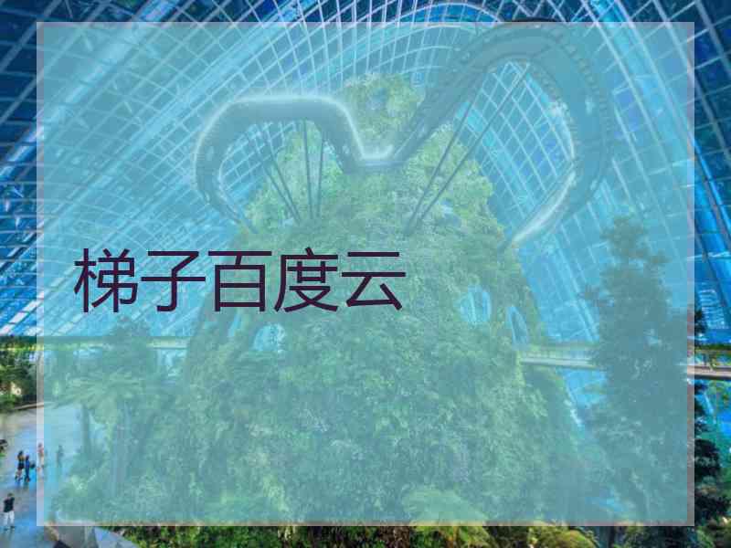 梯子百度云