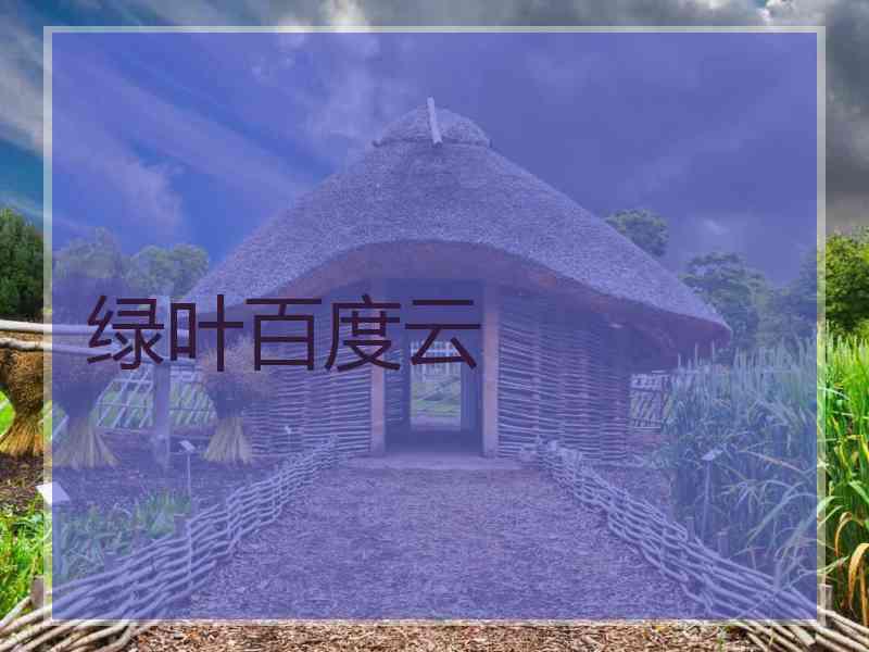 绿叶百度云
