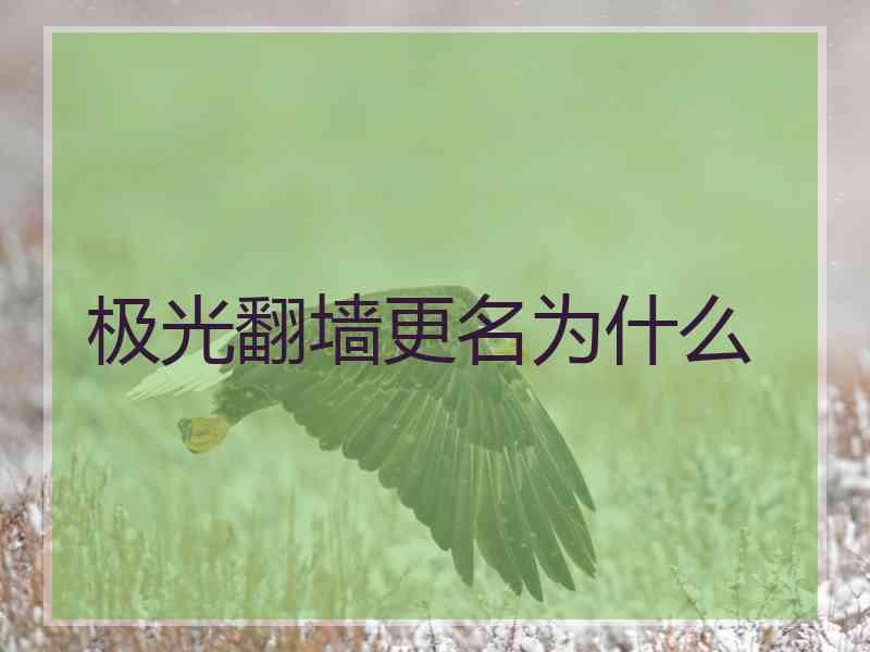 极光翻墙更名为什么