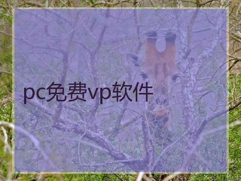 pc免费vp软件