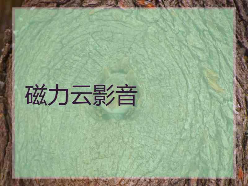 磁力云影音