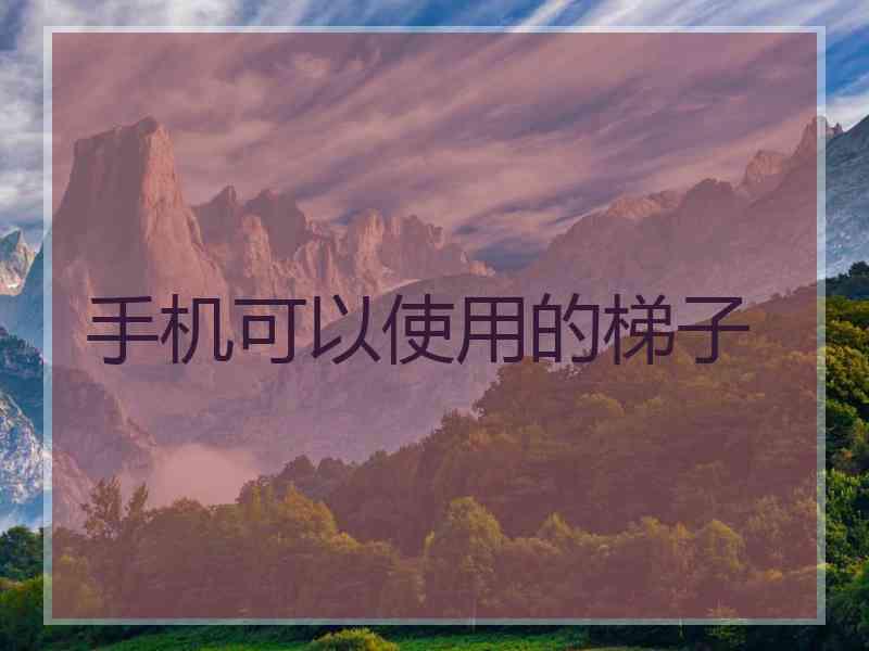 手机可以使用的梯子